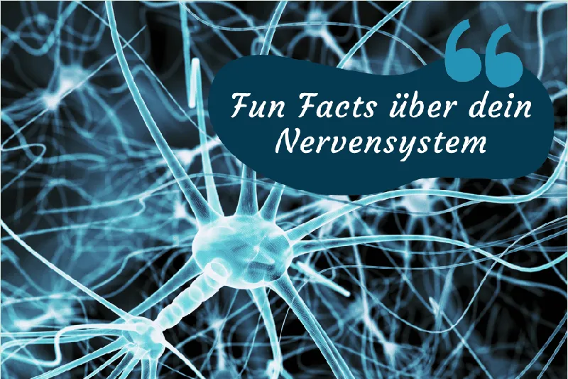 47+ Fun Facts über dein Nervensystem