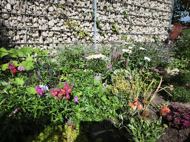 Unterwegs bewundern, zu Hause schützen: Warum mein „Basecamp“ jetzt im Garten liegt