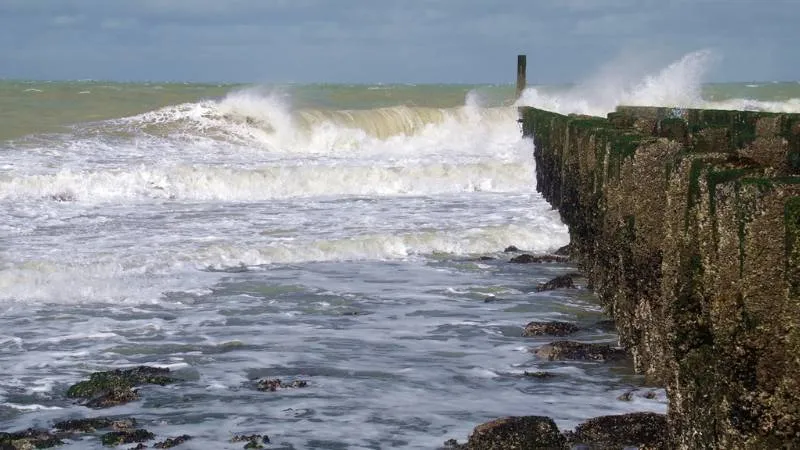 524 km Nordseeküste: Von Zeeland bis Noord-Holland – Natur erleben zwischen Mensch und Gezeiten