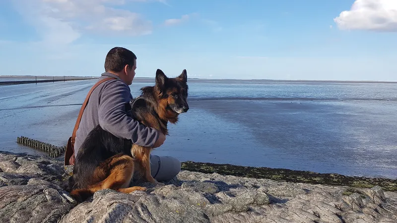 Sehnsuchtsort Nordseeküste: Warum ich diese Landschaft liebe und du sie auch lieben wirst