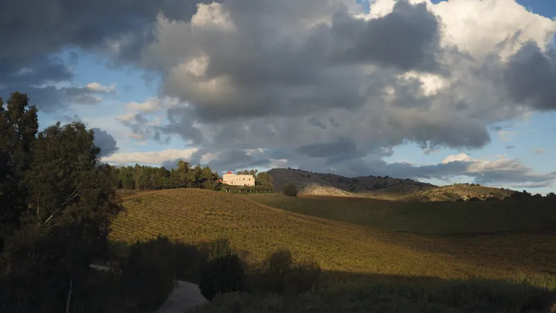Die Weine des Sicilia DOC