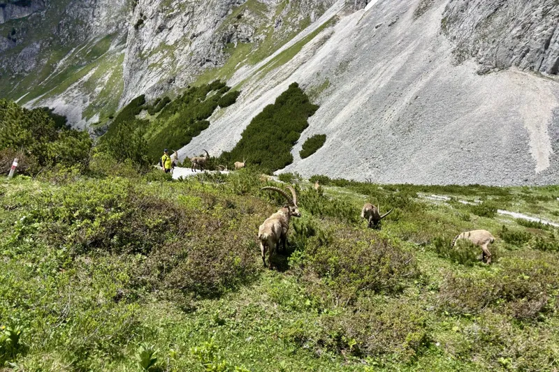 Wanderung zur Voisthaler Hütte (1.654 m) – von Seewiesen