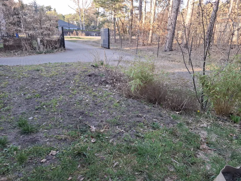 Gartengestaltung mit ChatGPT