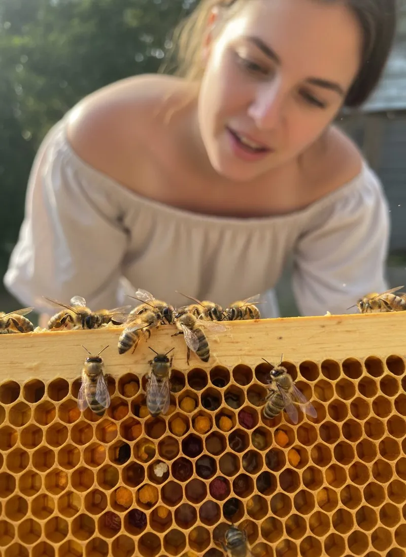Wie stellen Bienen Bienenwachs her?