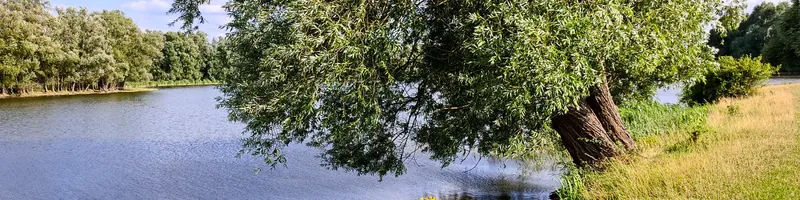 Einmal Kotzen und zurück – Kleine Havellandrunde mit Besuch bei Effi Briest (14,3 km)