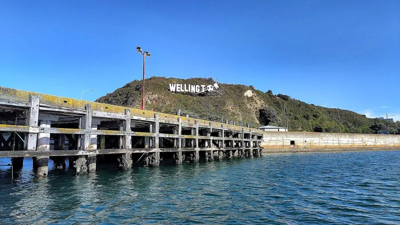 Impressionen aus Wellington - unsere Erfahrungen aus Neuseelands Hauptstadt | My Travelworld