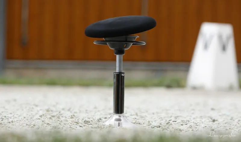 BALIMO® – Balance in Motion