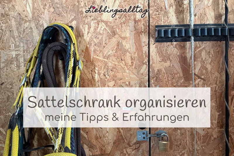 Sattelschrank organisieren: meine Tipps & Erfahrungen