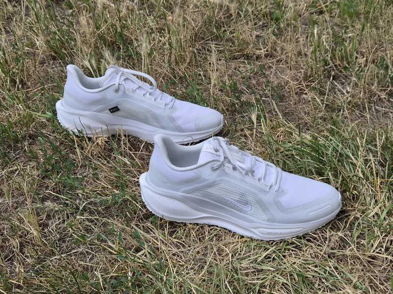 Nike Pegasus 41 GTX Schuhe im Test