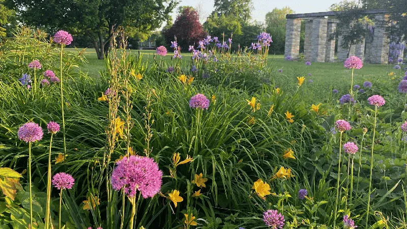 Dein Garten, deine Liebe: Warum ein lebendiger Garten alle Sinne berührt
