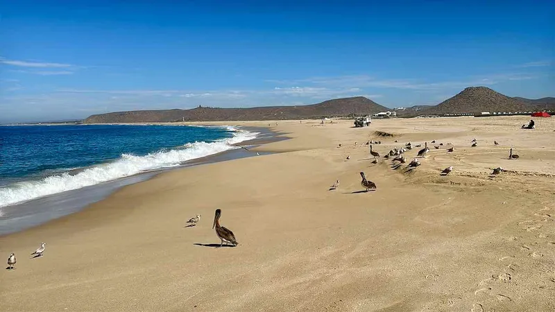 Todos Santos in Baja California: Meer, Wüste & Highlights