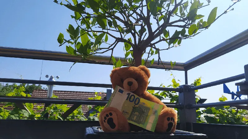 Finanzbildung: Meine Top 3 Learnings von Mama und Papa