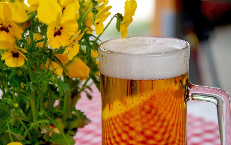 Rotbier Nürnberg – Das flüssige Kulturerbe der Altstadt