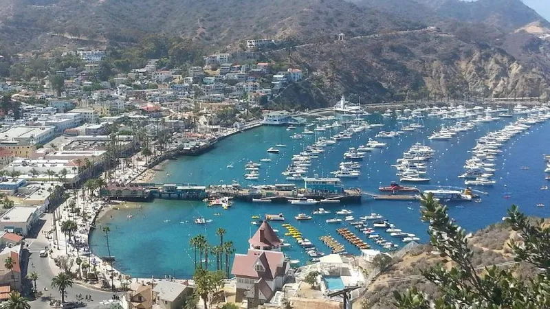 Santa Catalina Island – fast Karibik