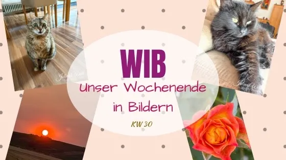Ferienmodus - WiB 25. + 26.7.2026