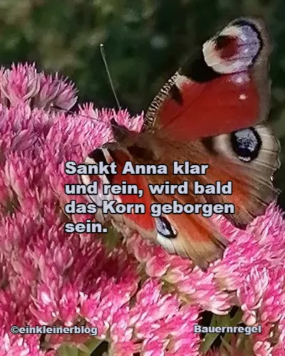 Gibt es eine gute Getreideernte?