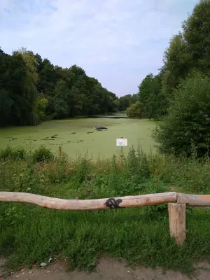 12tel Blick Juli 2026