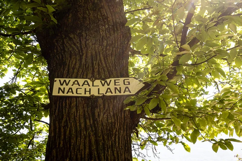 Marlinger Waalweg – entspannt auf Südtirols längstem Waalweg wandern
