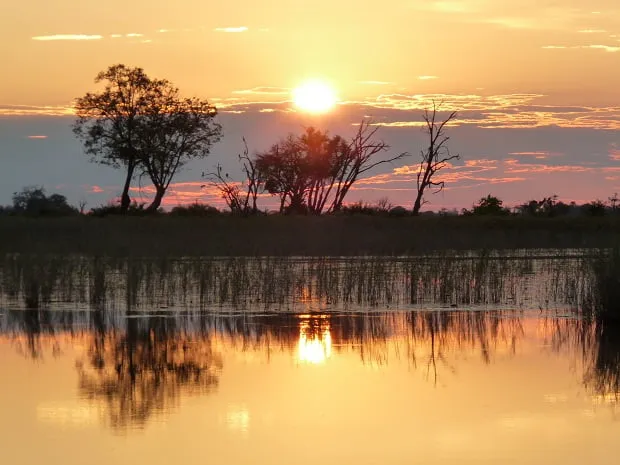 Im Mokoro durch das Okavango Delta