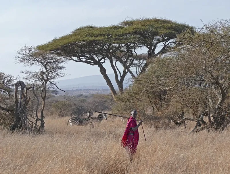 Walking Safaris in Afrika