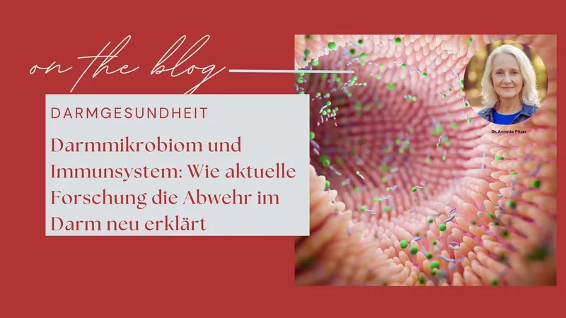Darmmikrobiom und Immunsystem