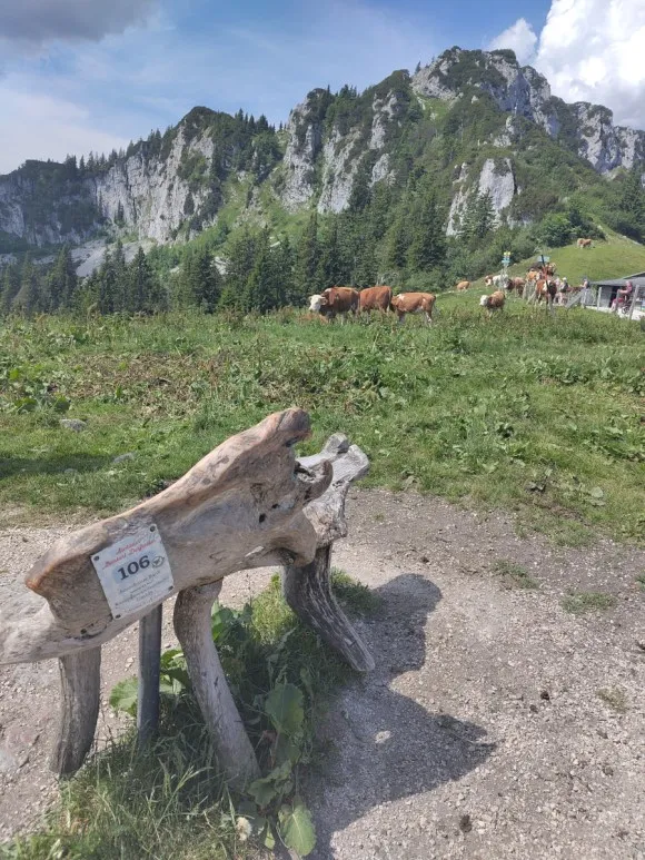 Wanderung auf die Kampenwand: Panoramablicke über den Chiemgau