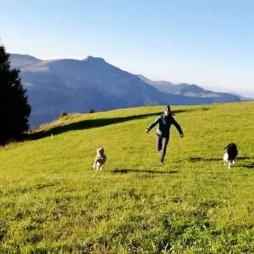 Was wir von unseren Hunden lernen können