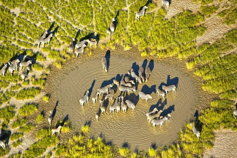 Die besten Ziele für eine Safari zwischen Ostern und Pfingsten