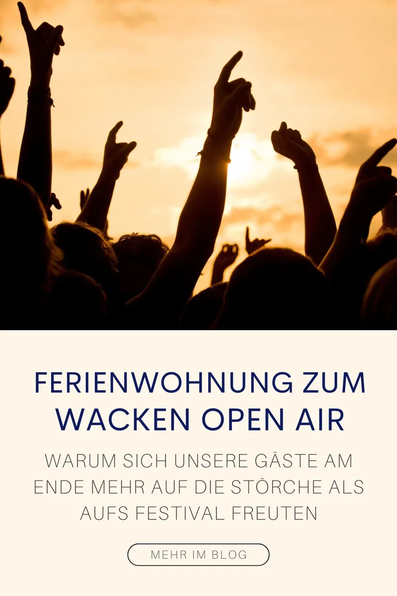 Der Plan war Wacken 2025: Warum sich unsere Gäste am Ende mehr auf die Störche als aufs Festival freuten
