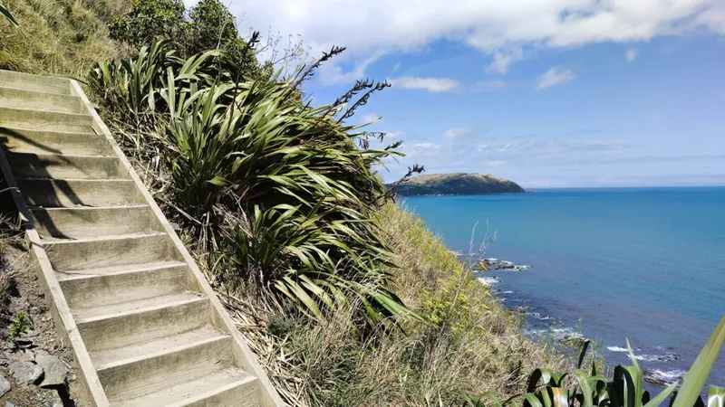 Der Escarpment Track – Neuseelands schönste Wanderung?