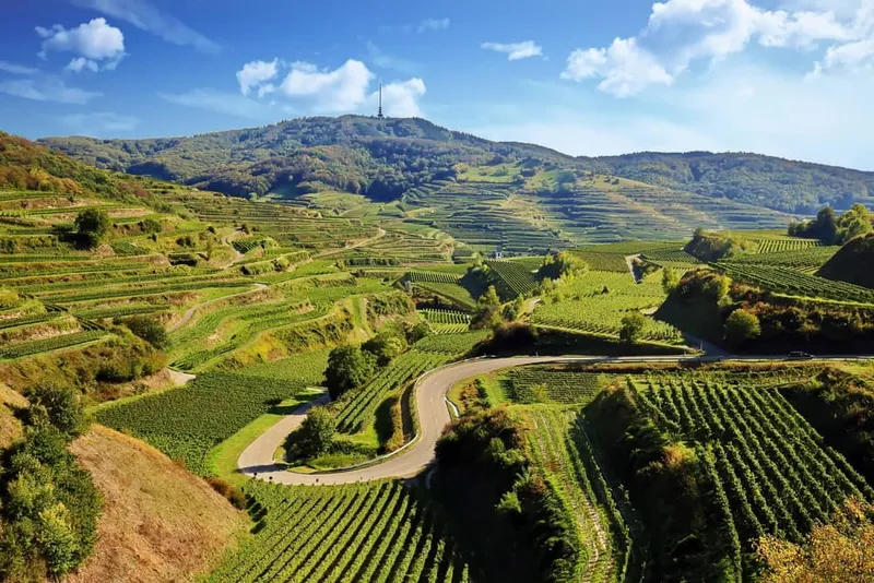Kaiserstuhl Sehenswürdigkeiten: Wein, Wandern und Weitblick am Vulkanmassiv