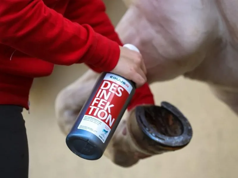 EQUUSIR BIONIC Desinfektion - Spray fürs Pferd