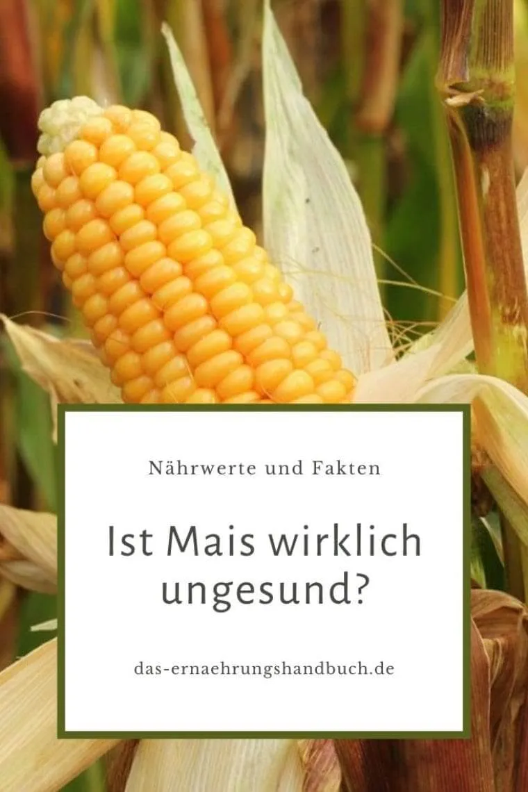 Ist Mais wirklich ungesund? Nährwerte und Fakten