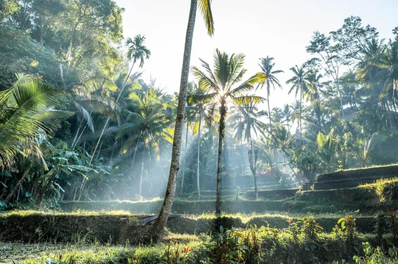 Bali Rundreise 2 Wochen: Perfekte Reiseroute für 2 Wochen Bali (+ Karte)