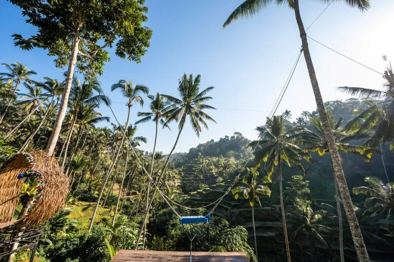 Ubud Bali: Highlights, schönste Sehenswürdigkeiten & Geheimtipps