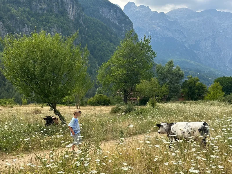 Theth mit Kindern: Wir entdecken die albanischen Alpen