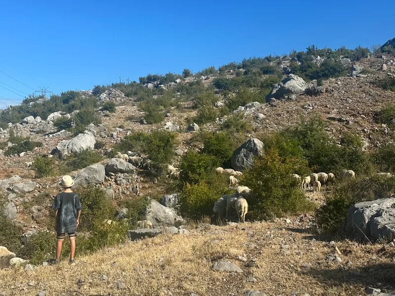 BaBaNu Guesthouse Albanien: zu Besuch auf einer Farm