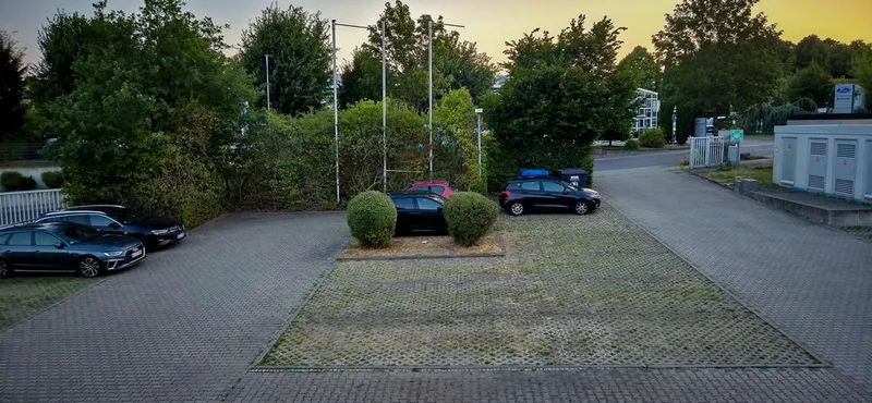 Wenn das Bauchgefühl recht behält