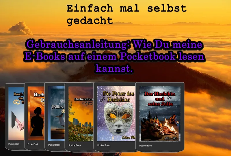 Gebrauchsanleitung: Wie Du meine E-Books auf einem PocketBook lesen kannst.