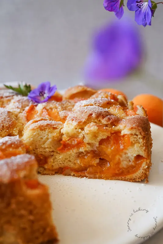 Schneller Aprikosenkuchen mit vielen Aprikosen