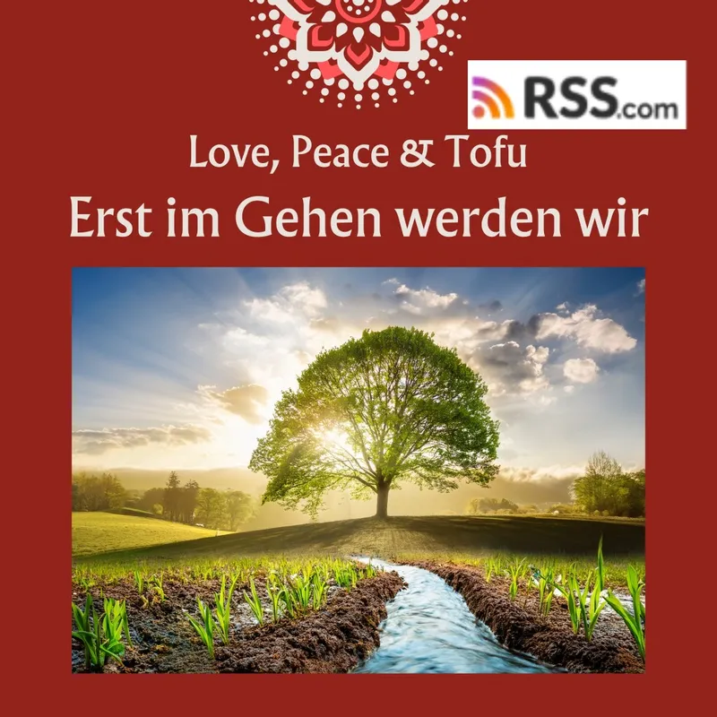Erst im Gehen werden wir