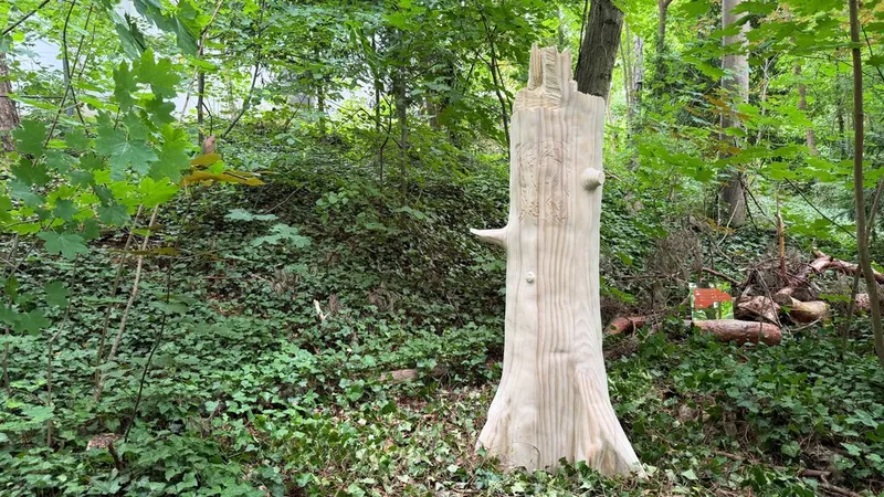 Kunst im Wald – das Brücke Museum