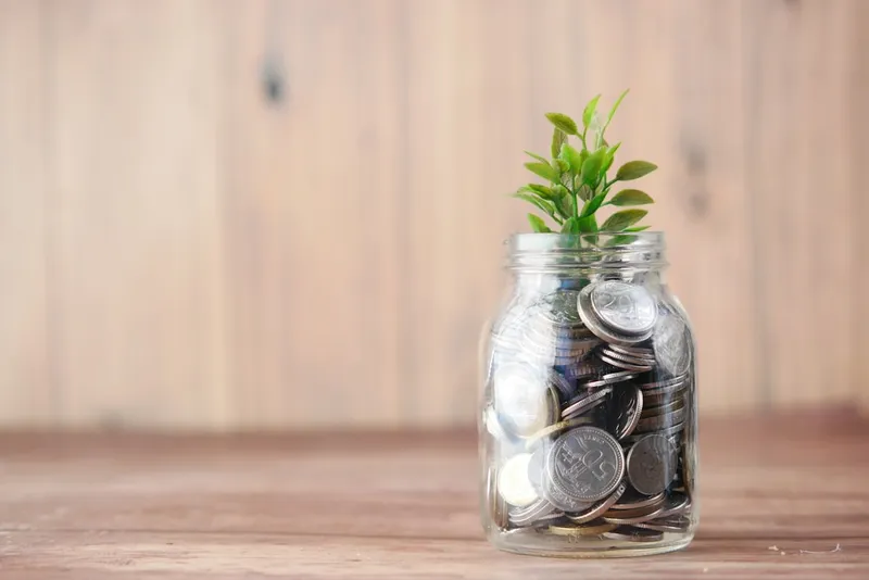 Nachhaltiger Haushalt mit kleinem Budget: Slow-Living-Tipps für Zuhause