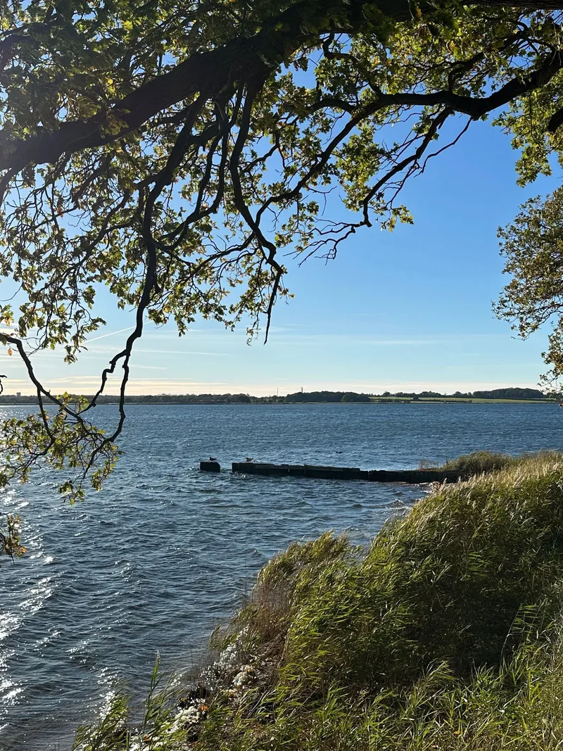 Ankommen in Dänemark – so geht es mir nach dem Auswandern