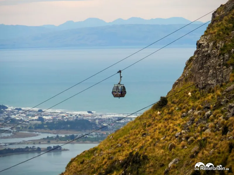 Hoch hinaus mit der Christchurch Gondola