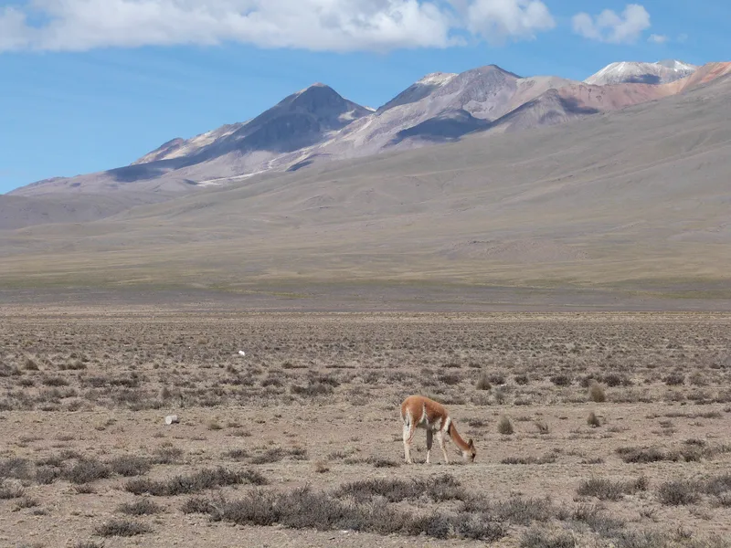Hualca Hualca - Der vernachlässigte 6000er über dem Colca Canyon ist jetzt sehr gut erreichbatr
