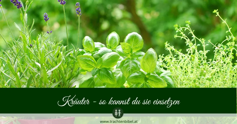 Welt der Kräuter – ein Tor zur Natur