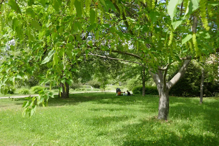 Seminare und Naturerlebnisse in Niederösterreich verbinden