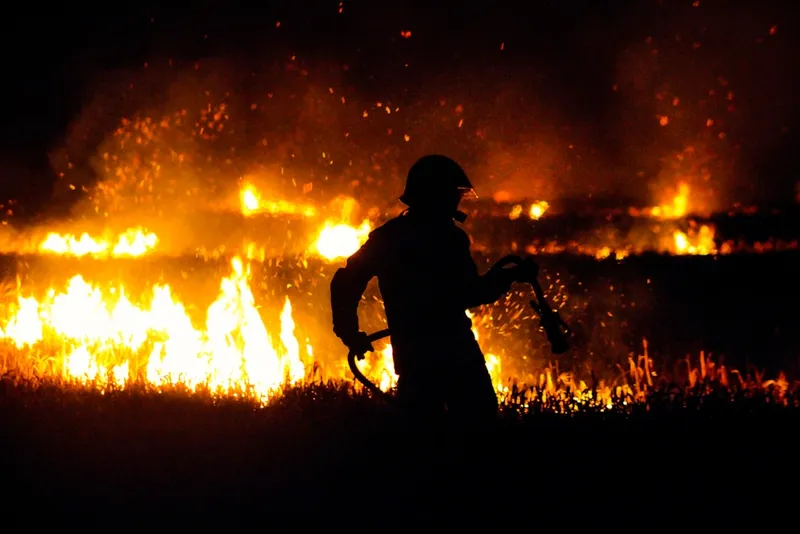 Waldbrand in Deutschland: das Risiko für Wanderer und Camper