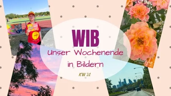 Trainingscamp, Erlkönig und fauler Sonntag - WiB 1.+2.8.2026